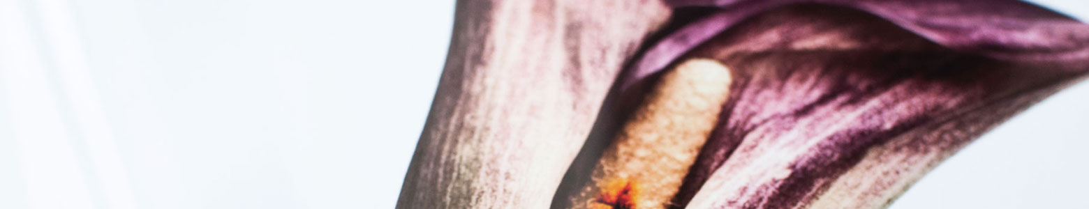 Flowers in design