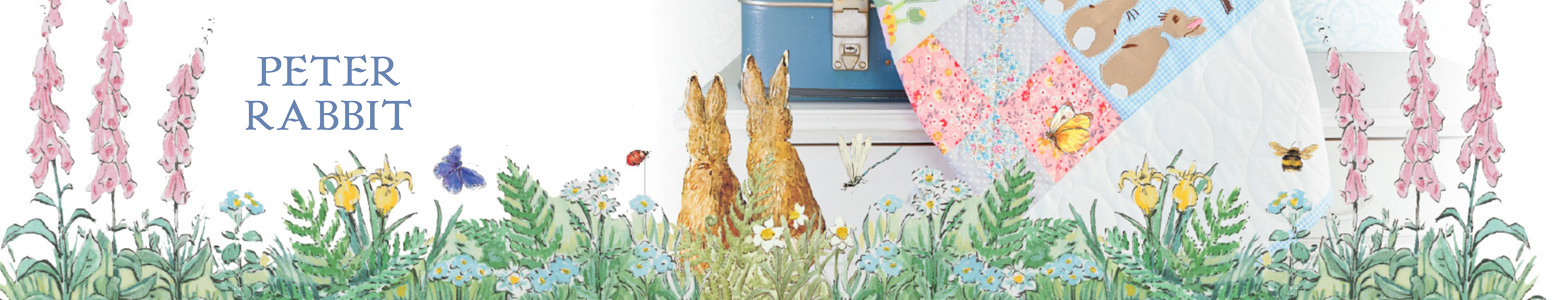 Bopgun partners with Hachette for another national website launch | Peter Rabbit