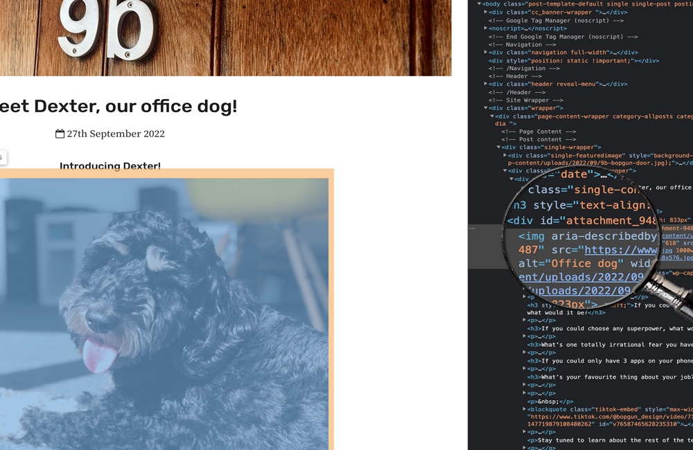SEO - Magnifying the alt tag of an office dog