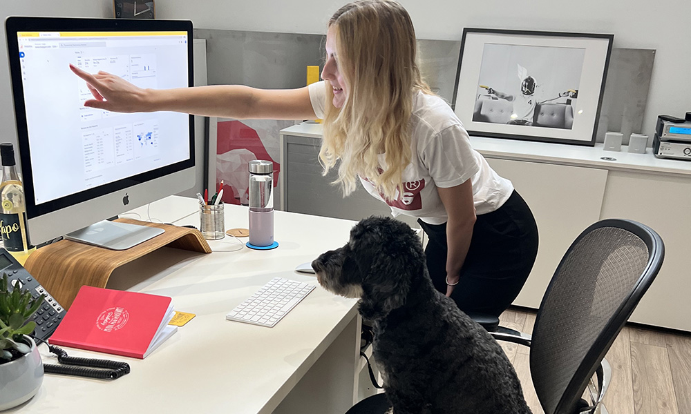 Vicky teaching Dexter, the office dog, about Digital Marketing